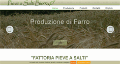 Desktop Screenshot of pieveasaltibio.it